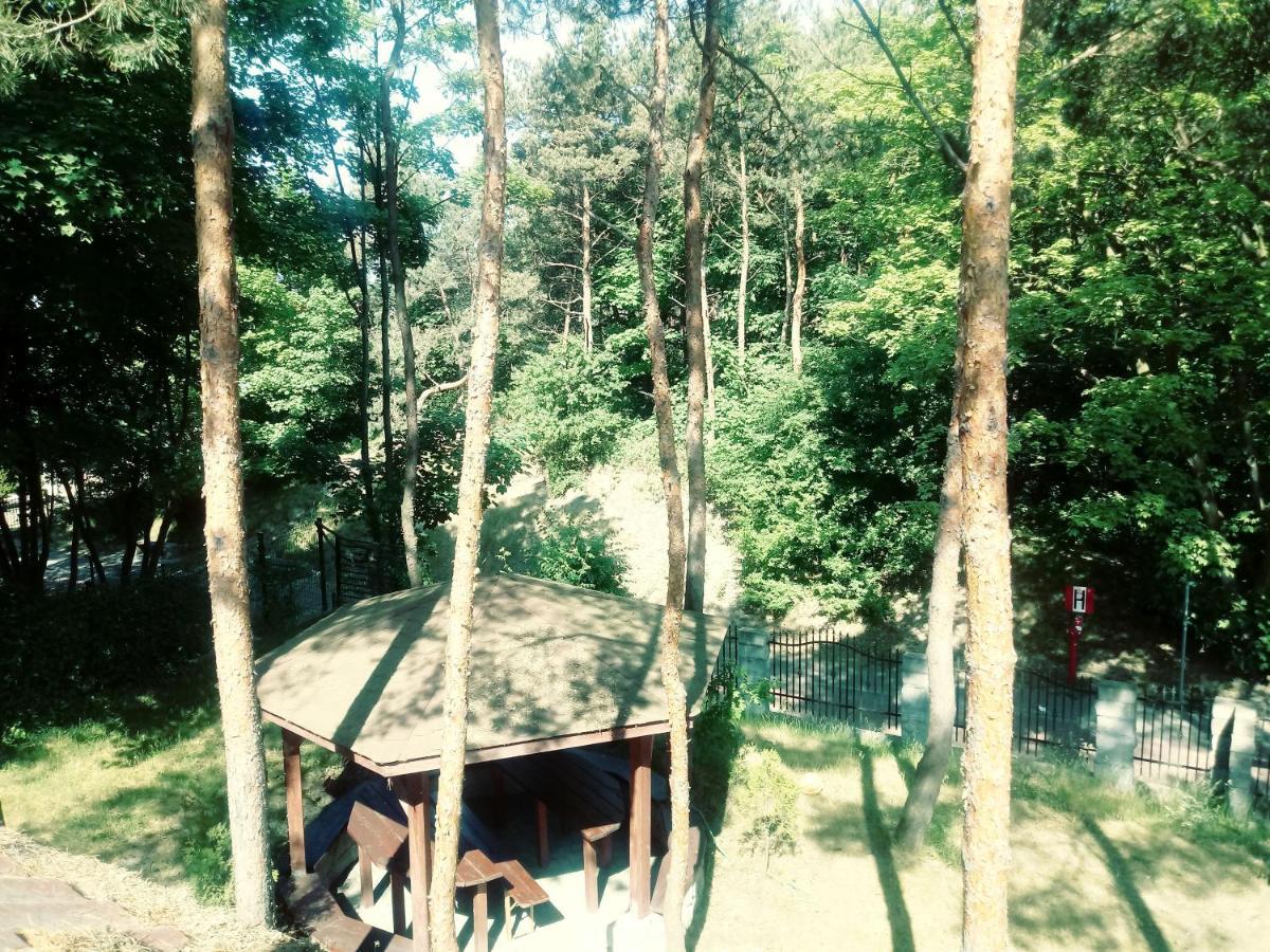 Dom Na Wzgorzu Apartment Jastarnia Bagian luar foto